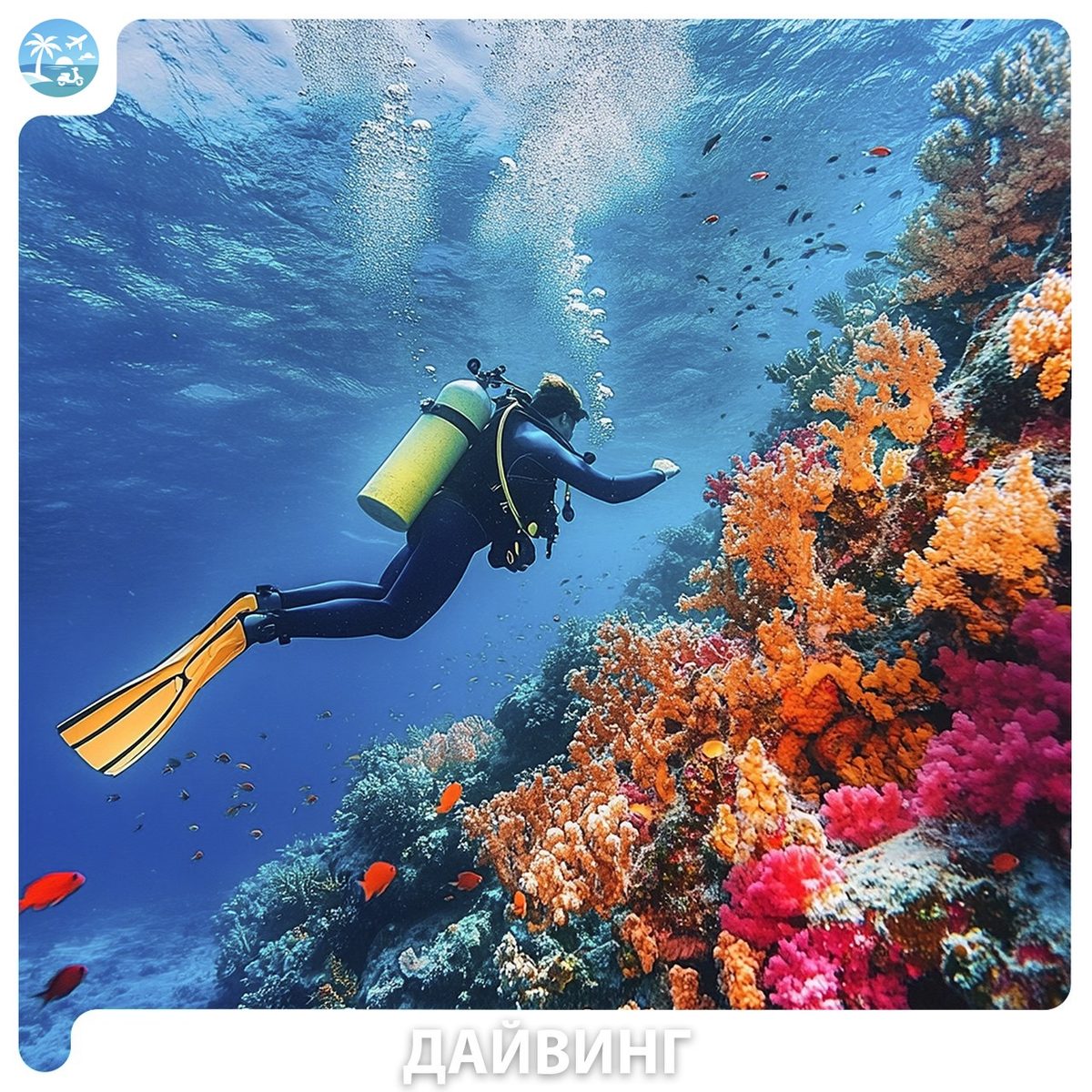 🤿 Diving (дайвинг) — фото 1