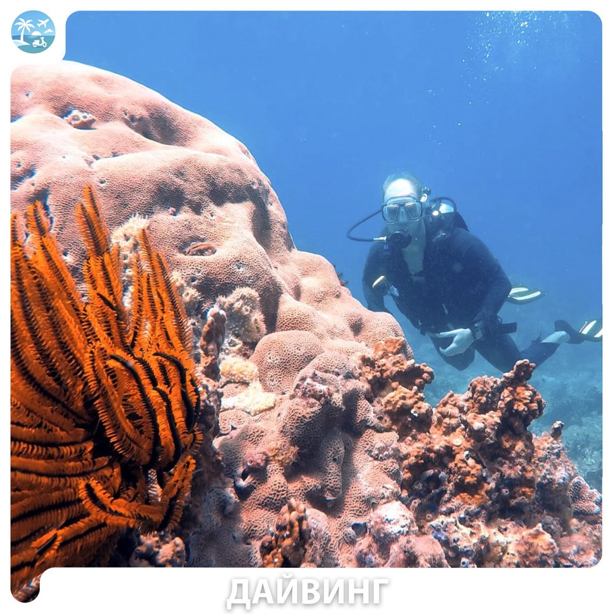 🤿 Diving (дайвинг) — фото 3