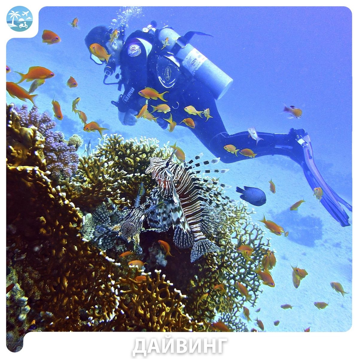 🤿 Diving (дайвинг) — фото 4