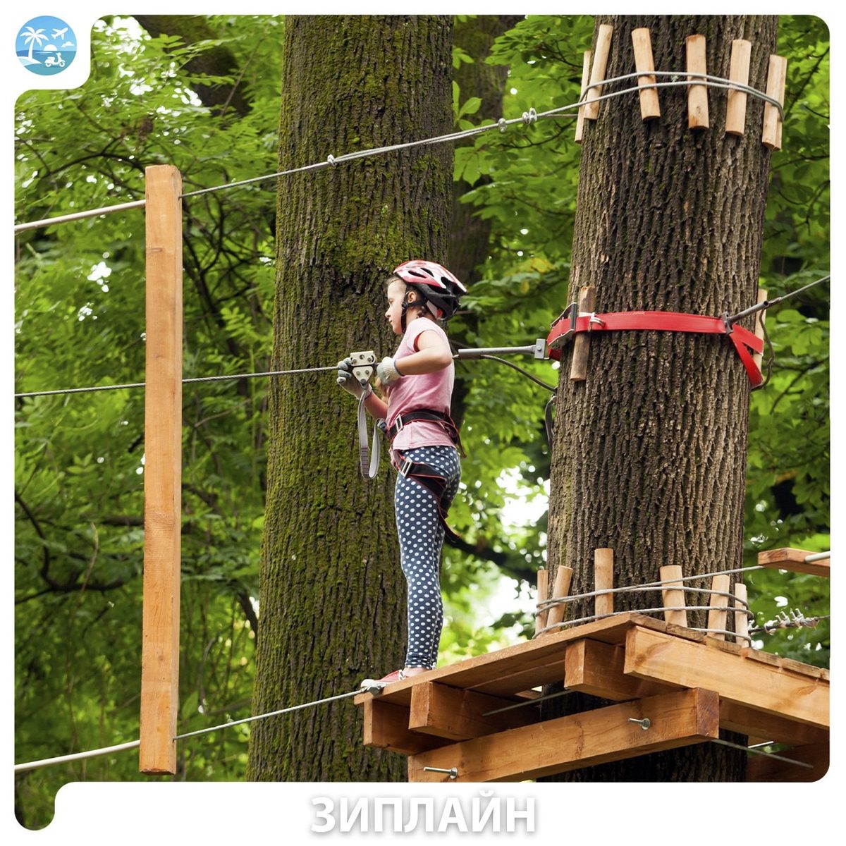 🌿 Zipline (зиплайн) — фото 1