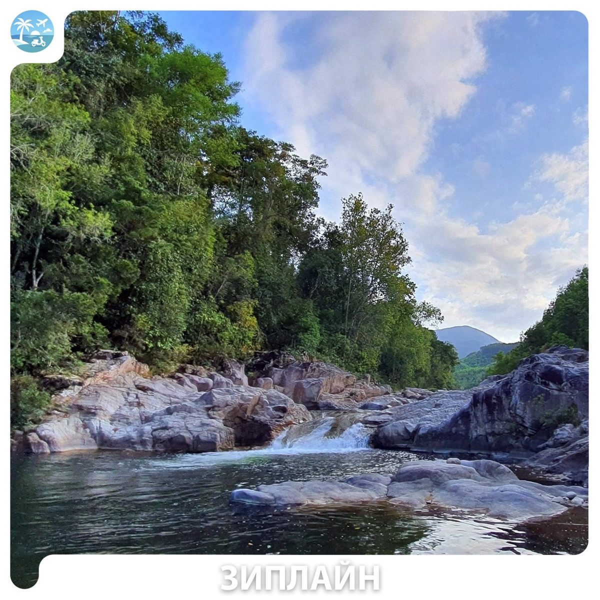 🌿 Zipline (зиплайн) — фото 4