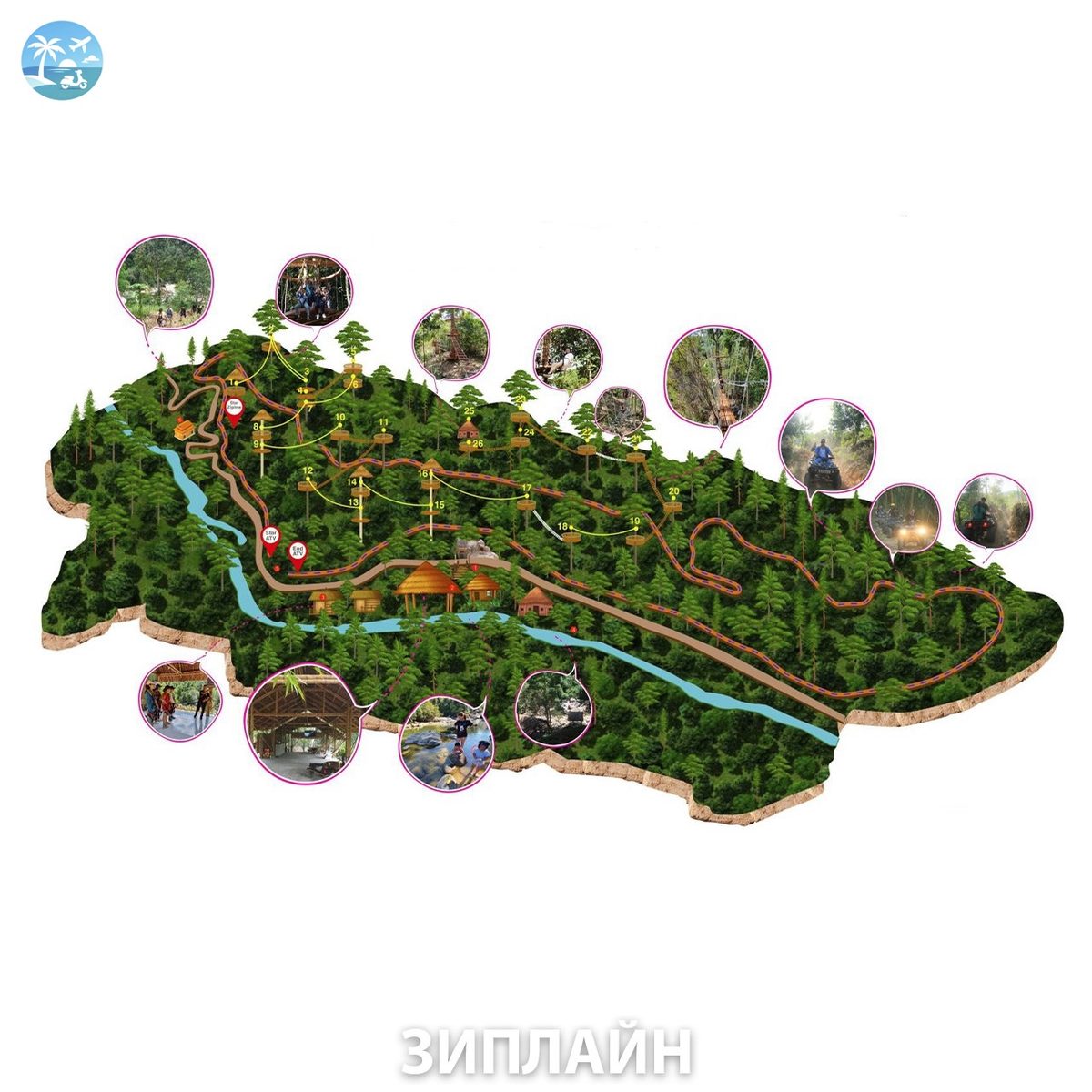 🌿 Zipline (зиплайн) — фото 6