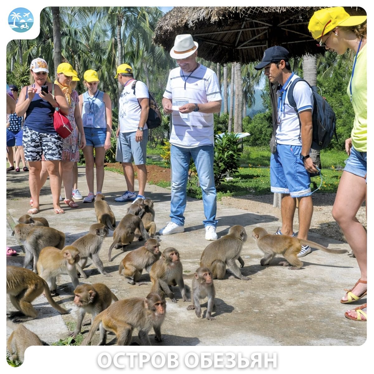 🐒 Острова Обезьян и Орхидей — фото 2